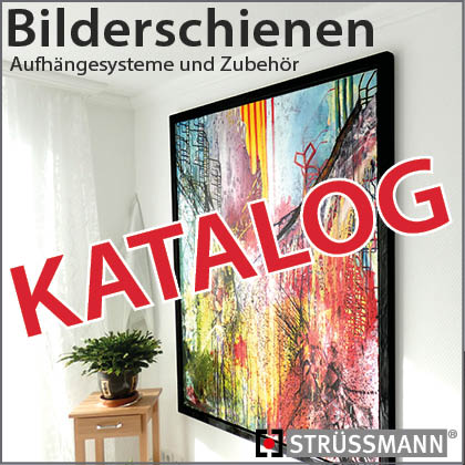 katalog bilderschienen struessmann